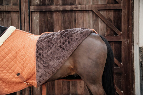 kentucky-horsewear-show-rug-autumn-orange