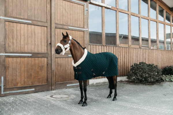 kentucky-horsewear-show-rug-dark-green