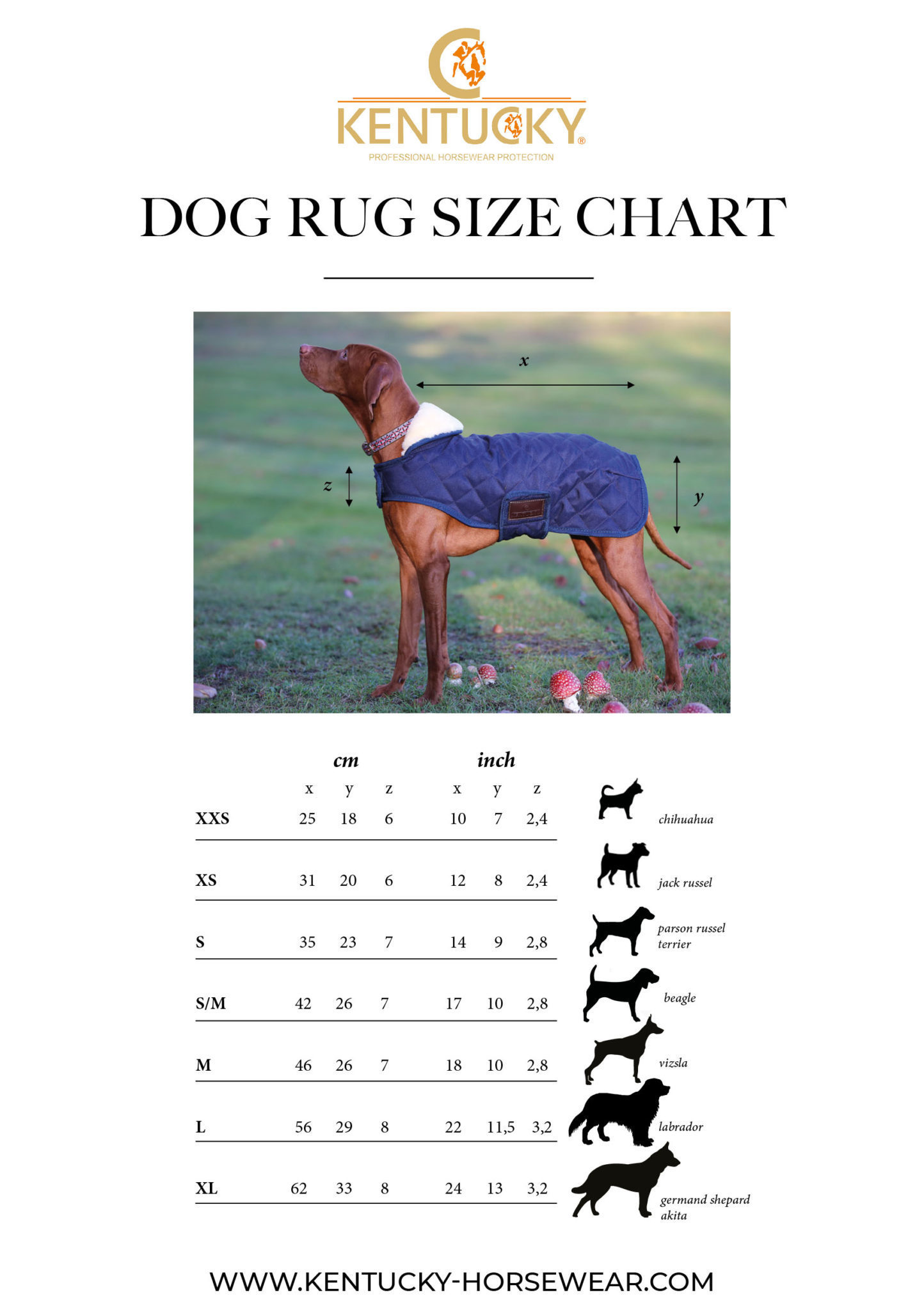 Dog Cloth Size Chart