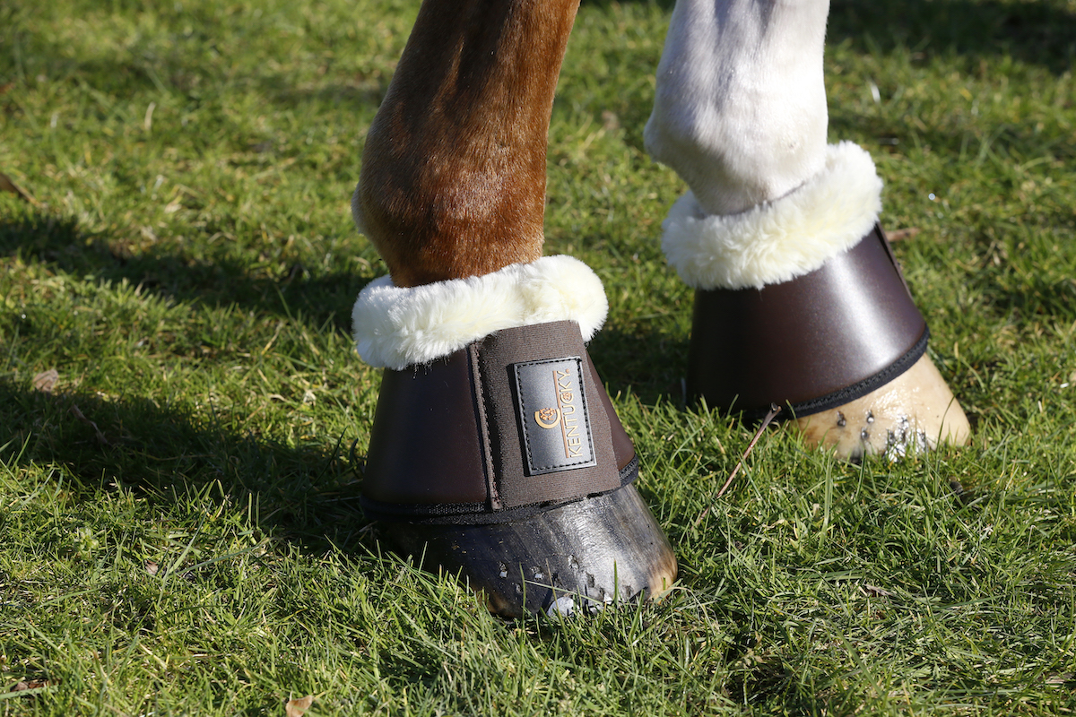 Kentucky Sheepskin Leather Overreach Boots - Spicehorse