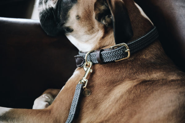 kentucky-plaited-nylon-dog-collar