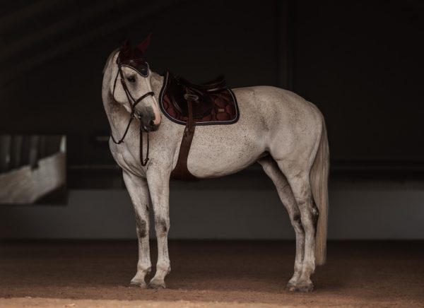 equestrian-stockholm-jump-saddle-pad-merlot-crystal