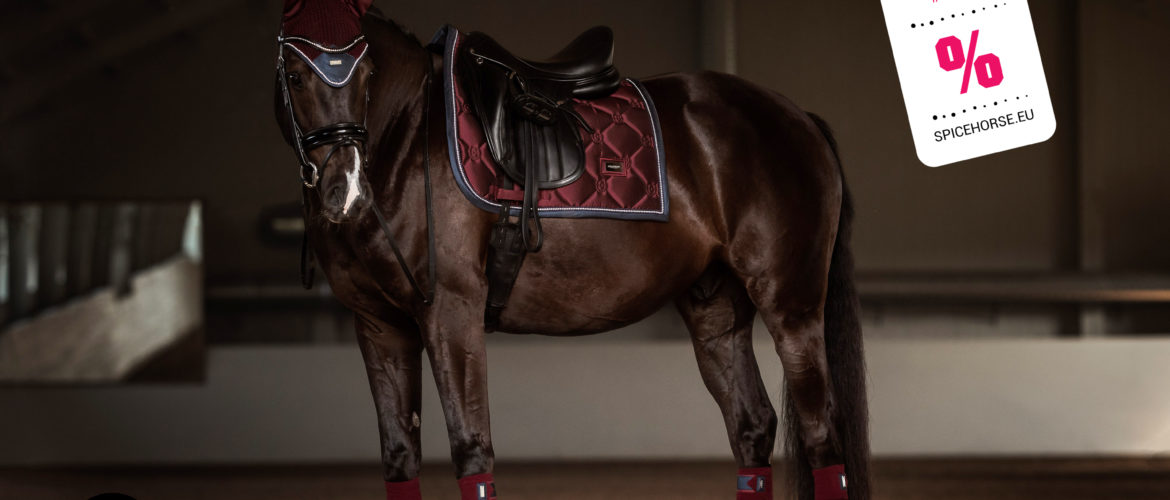 spicehorse-equestrian-stockholm-help