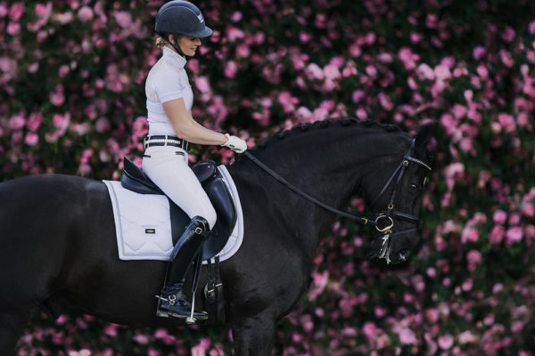 equestrian-stockholm-white-perfection-dijlovas-nyeregalatet