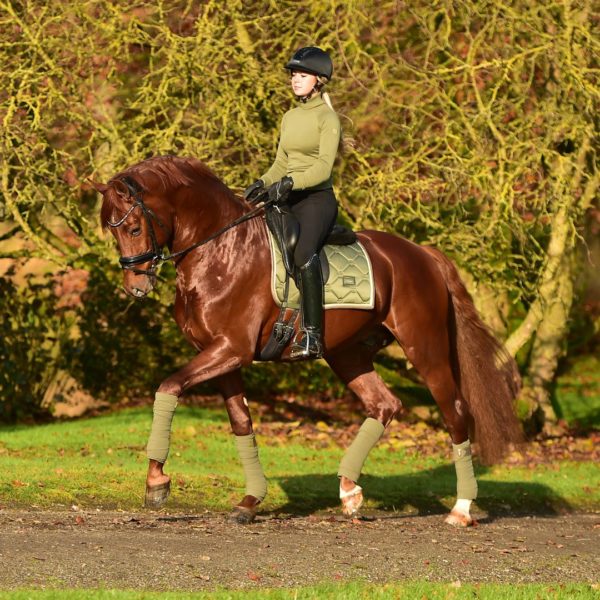 equestrian-stockholm-golden-olive