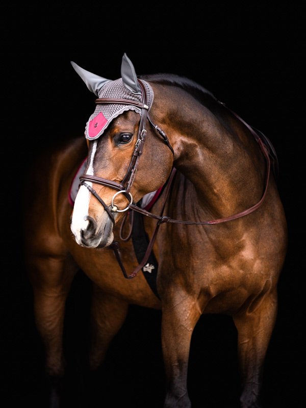 equestrian-stockholm-ear-net-grey-bordeaux
