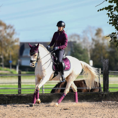 equestrian-stockholm-purple-gold