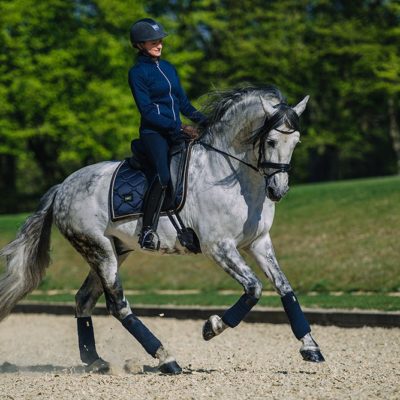 equestrian-stockholm-royal-classic