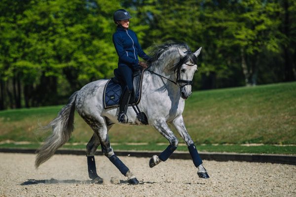 equestrian-stockholm-royal-classic