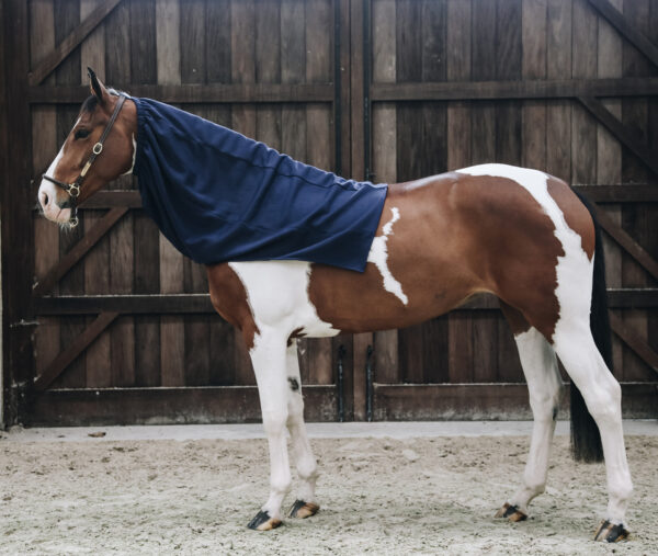 kentucky-heavy-fleece-horse-scarf