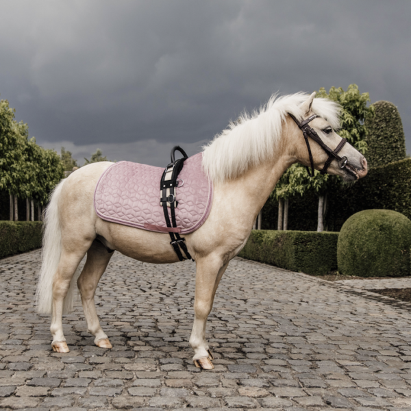 kentucky-saddle-pad-velvet-pony