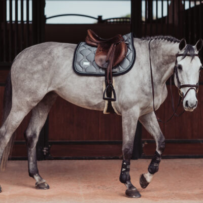 equestrian-stockholm-crystal-grey-ugro-nyeregalatet