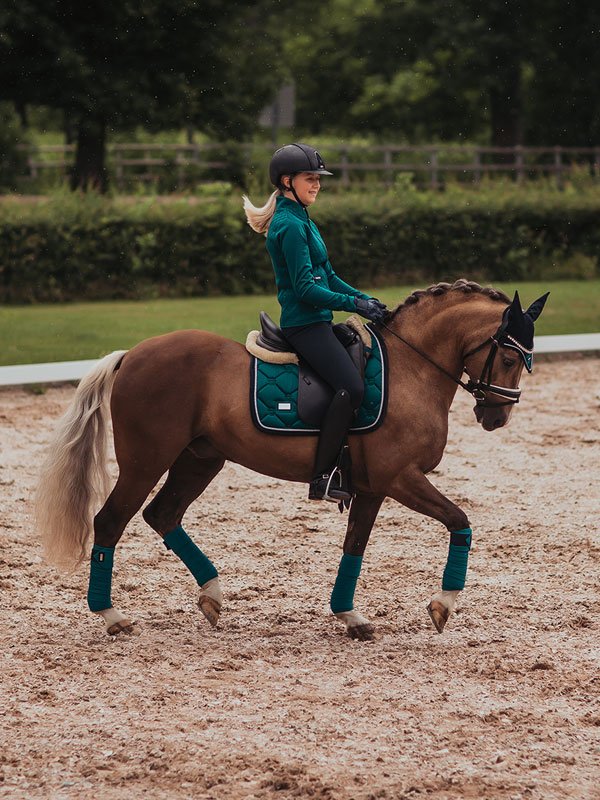equestrian-stockholm-emerald-dijlovas-nyeregalatet-cob