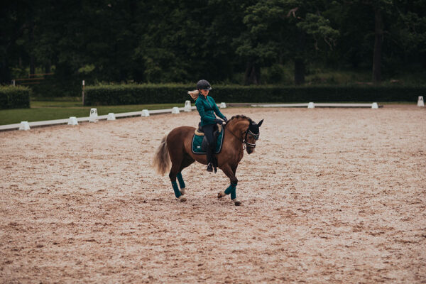 equestrian-stockholm-dressage-saddle-pad-emerald-cob