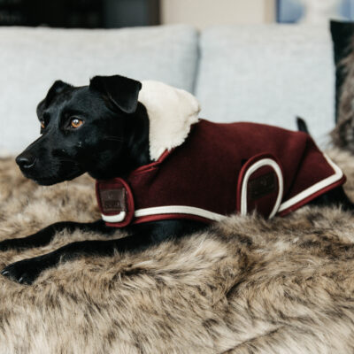 kentucky-dog-coat-heavy-fleece
