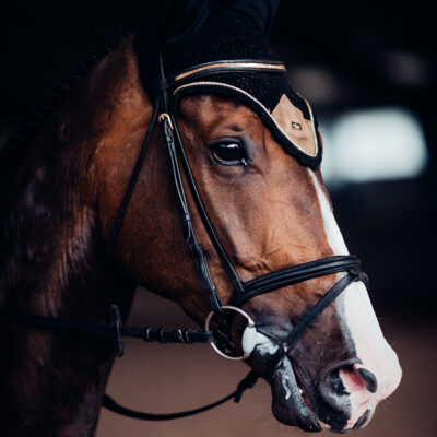 equestrian-stockholm-ear-net-golden-brass