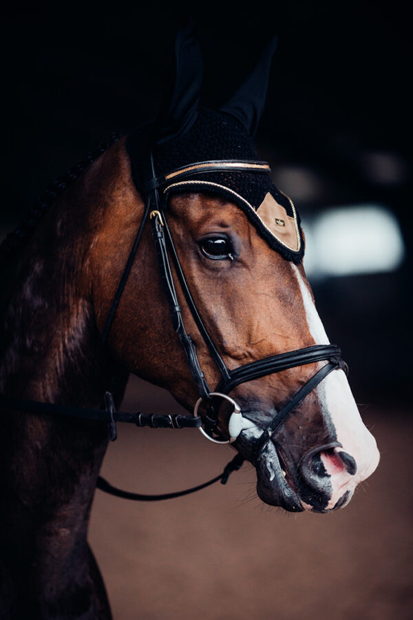 equestrian-stockholm-ear-net-golden-brass
