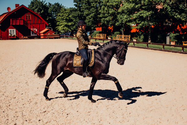 equestrian-stockholm-golden-brass