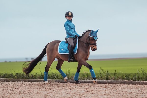 equestrian-stockholm-parisian-blue-drezurna-podsedlova-decka-cob