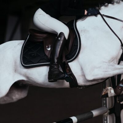 equestrian-stockholm-jump-elite-paloma-lovaglonadrag