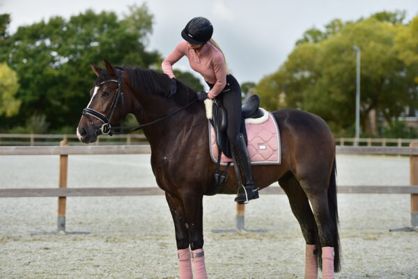equestrian-stockholm-pink-pearl-dijlovas-nyeregalatet