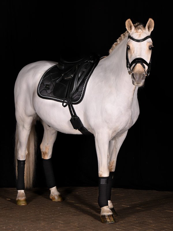 equestrian-stockholm-dressage-saddle-pad-black-edition-cob