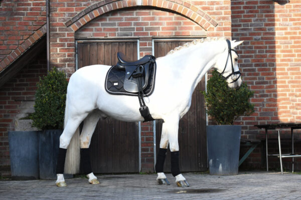 equestrian-stockholm-dressage-saddle-pad-black-edition-cob