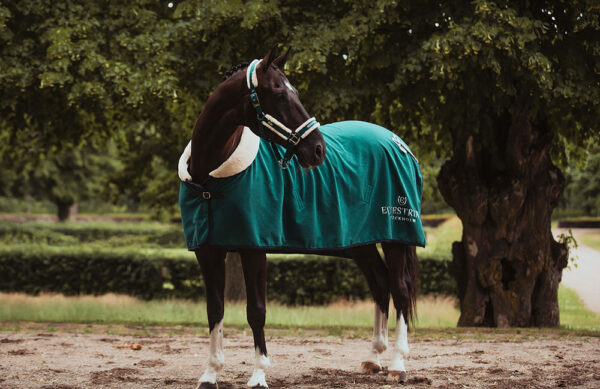 equestrian-stockholm-polar-takaro-emerald