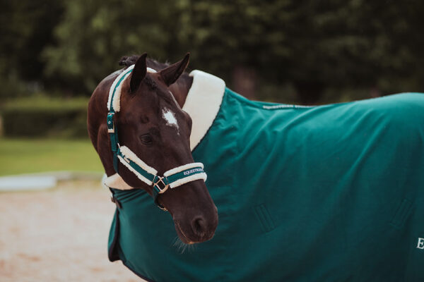 equestrian-stockholm-flisova-deka-emerald