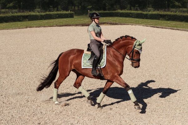 equestrian-stockholm-dressage-saddle-pad-pistachio-white
