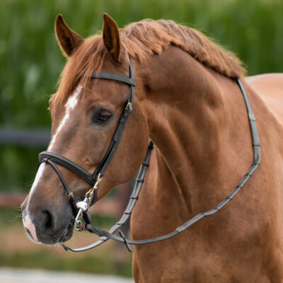 one-equestrian-training-uzdecka-s-opratami