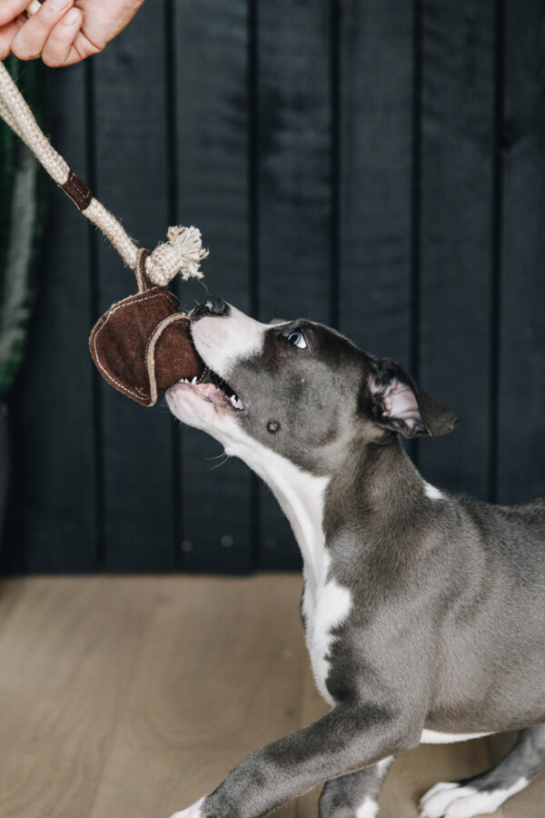 kentucky-dog-toy-cotton-rope-baseball