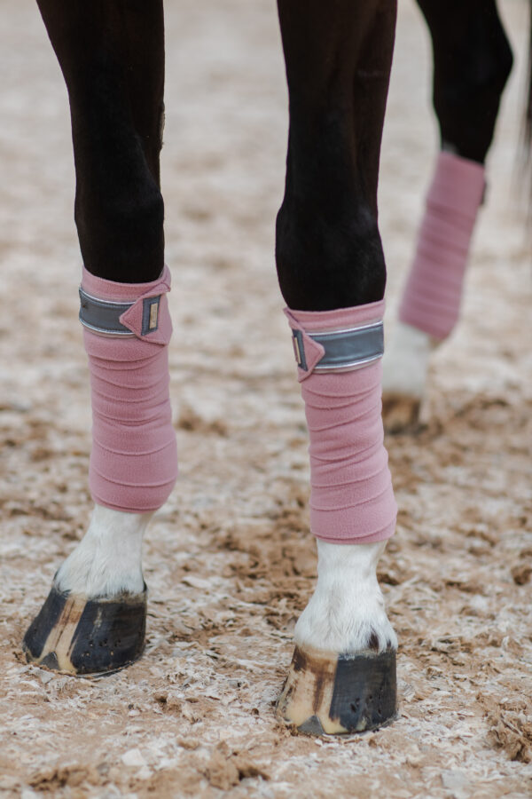 equestrian-stockholm-pink-crystal-fasli