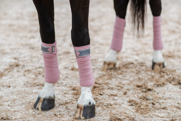 equestrian-stockholm-pink-crystal-fasli
