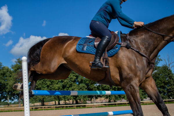 equestrian-stockholm-no-boundaries-monaco-blue-ugro-nyeregalatet