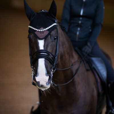 equestrian-stockholm-ear-net-mahogany-glimmer