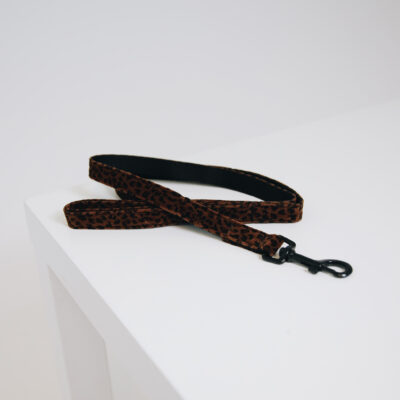 kentucky-dog-lead-leopard-120cm