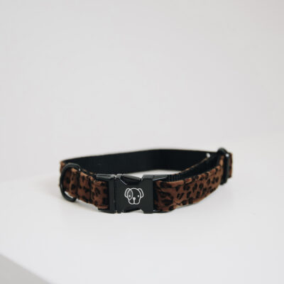 kentucky-dog-collar-leopard