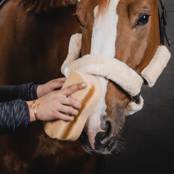 one-equestrian-sponge-with-grip